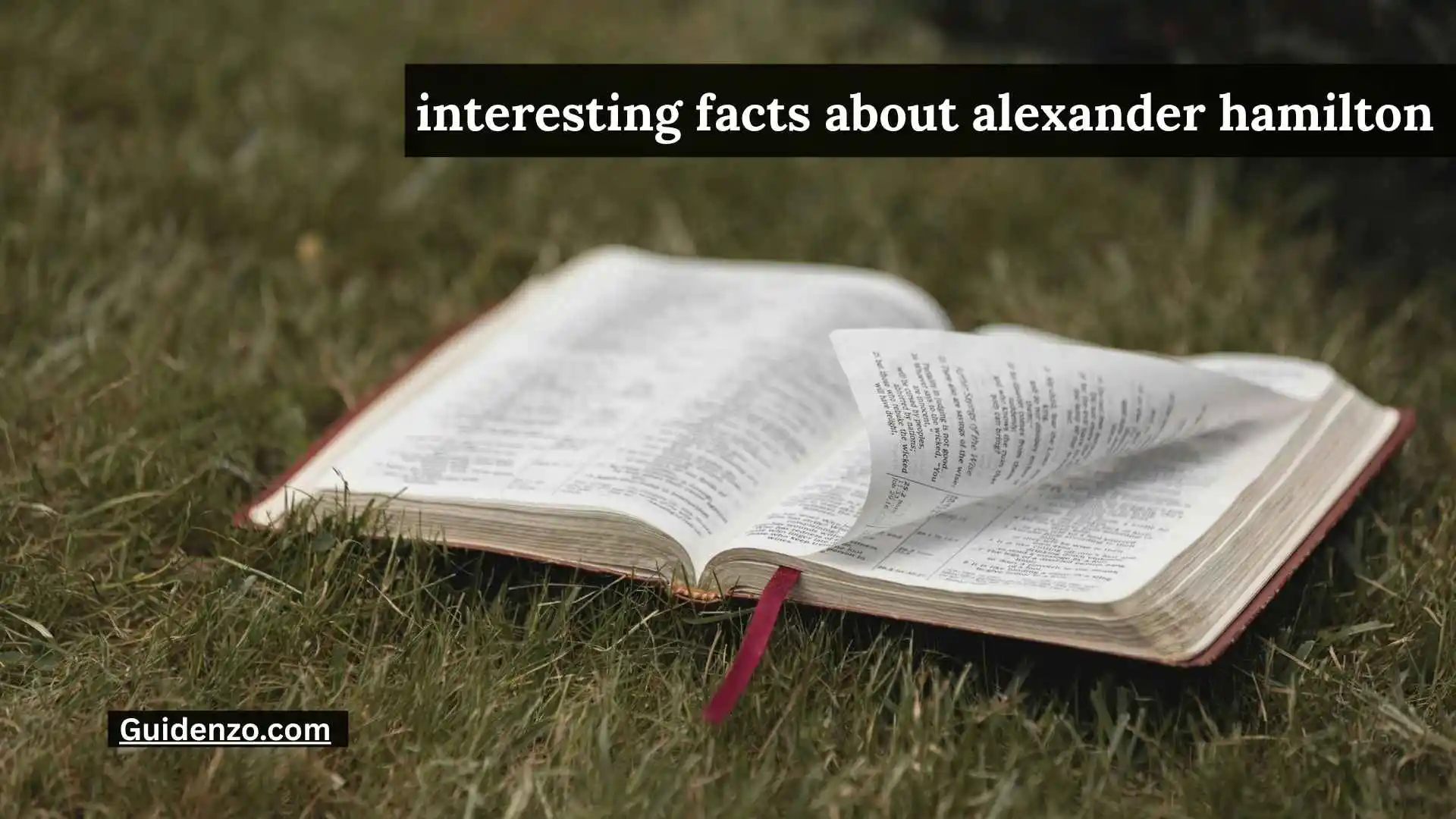 Interesting Facts About Alexander Hamilton That Reveal the Real Founding Father