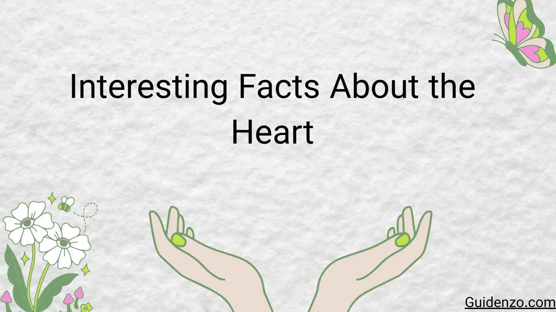 The Ultimate Guide to the Human Heart: Fascinating and Interesting Facts About the Heart